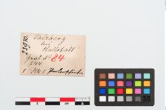 Etiketten zu Beinschieber (NHMW-PRAE-023930)